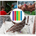 thumbnail image 3 of Chicken Thigh Ring Clip Numbered Leg Band Tags Chickens Ducks Leg Rings Clip Poultry Foot Rings, 3 of 7