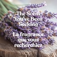 thumbnail image 4 of Bougie parfumée Yankee Candle Signature, bougie en pot format grand, 4 of 8