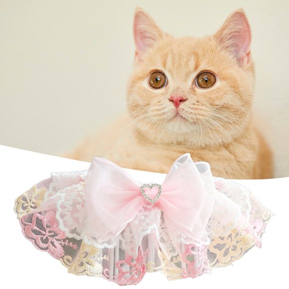 CBFFDC Pet Neck Circle Bite resistant Pet Collar with Tear resistant Non Fading Lace Trim Bowknot Daily Neck Circle Collocation
