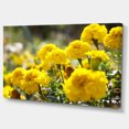 thumbnail image 2 of Bright Yellow Marigold Flowers - Floral Canvas Art Print, 2 of 3