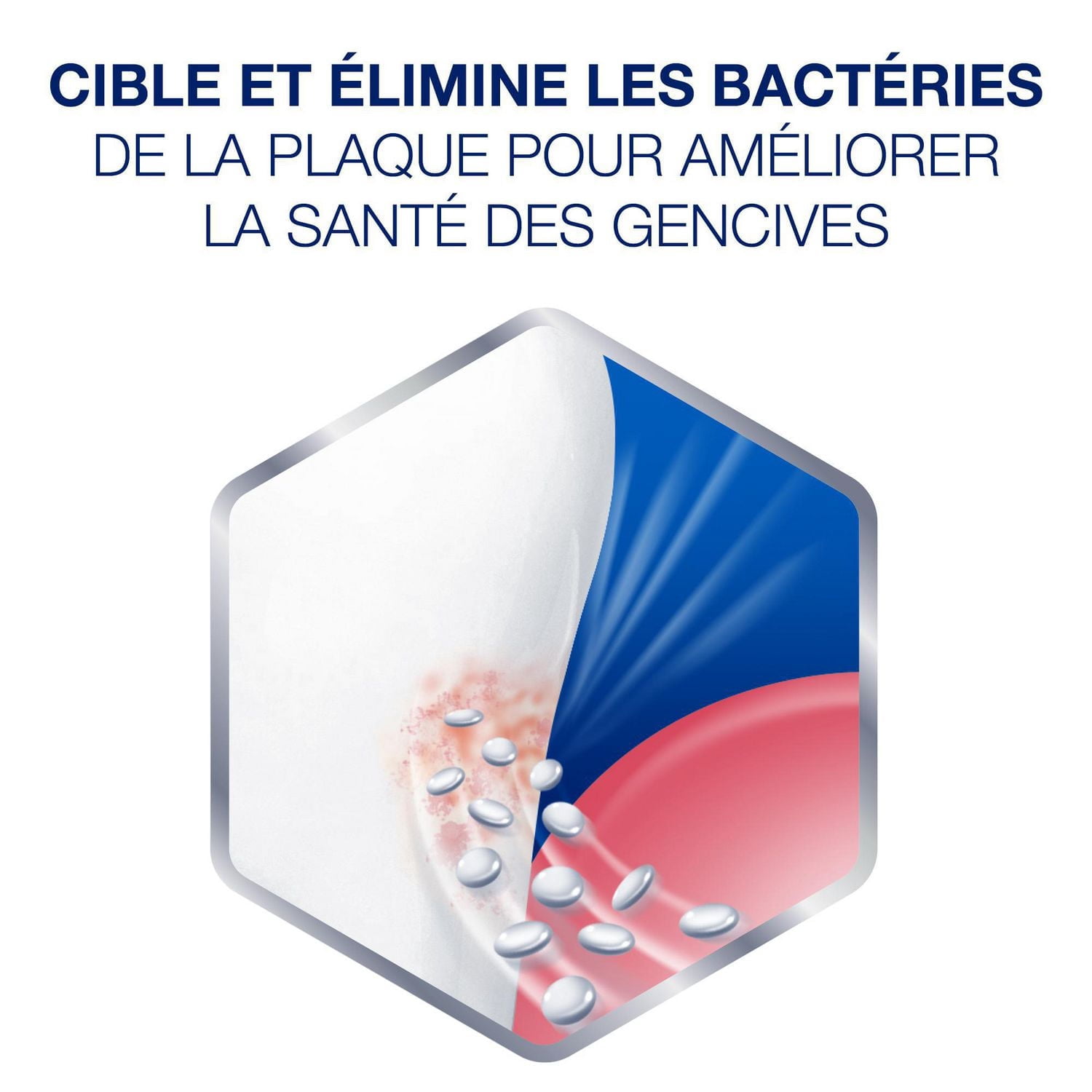 Dentifrice Sensodyne pour dents sensibles et saignement de gencives, dentifrice au fluorure, menthe, 75 mL