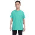 thumbnail image 1 of Jerzees Youth 5.6 oz. DRI-POWER ACTIVE T-Shirt - 29B, 1 of 1