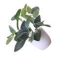 thumbnail image 4 of serony Artificial Potted Plant Leaf Simulation Leaves Home Office Desktop Greenery Decoration, Plant Type 14, 4 of 6