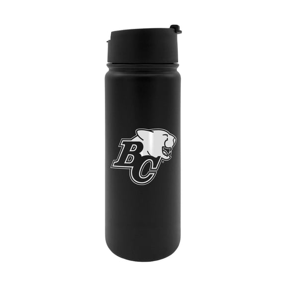 Stainless Steel Executive 18Oz Water Bottle Cfl Bc Lions