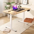 thumbnail image 1 of Mainstays Electric Height Adjustable Desk - White with Nature Wood Color, 1 of 16