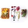 thumbnail image 2 of Natural Real Dried Flowers Kit for Art Craft DIY Soap Candle Scrapbooking DIY Resin Jewelry Making, Bookmark Making Mixed Multiple Colorful Dried Pressed Flowers for Home Decoration, 2 of 8