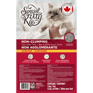 Special Kitty Non-Clumping Scented Cat Litter Tray