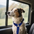 thumbnail image 4 of Binwennn Car Pet Belt Dog Car Leash Cute Pet Car Adjustable Rope Rope No Dogs Leash Sleeve Dog Leash Leather Training Leashes for Large Breed Dogs berry Dog Leash Dog Leash with Two Handles Dog, 4 of 4