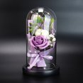 thumbnail image 3 of MesaSe Rose Gift Box with Glass Cover LED Light Gift for Valentine‘s Day Anniversary, 3 of 9