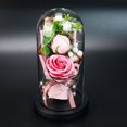 thumbnail image 4 of MesaSe Rose Gift Box with Glass Cover LED Light Gift for Valentine‘s Day Anniversary, 4 of 9
