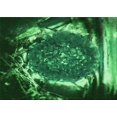 thumbnail image 1 of Ahgly Company Machine Washable Indoor Rectangle Transitional Deep Emerald Green Area Rugs, 5' x 8', 1 of 7