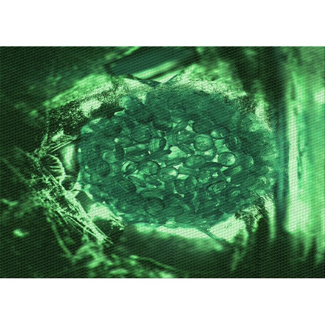 Ahgly Company Machine Washable Indoor Rectangle Transitional Deep Emerald Green Area Rugs, 5' x 8'