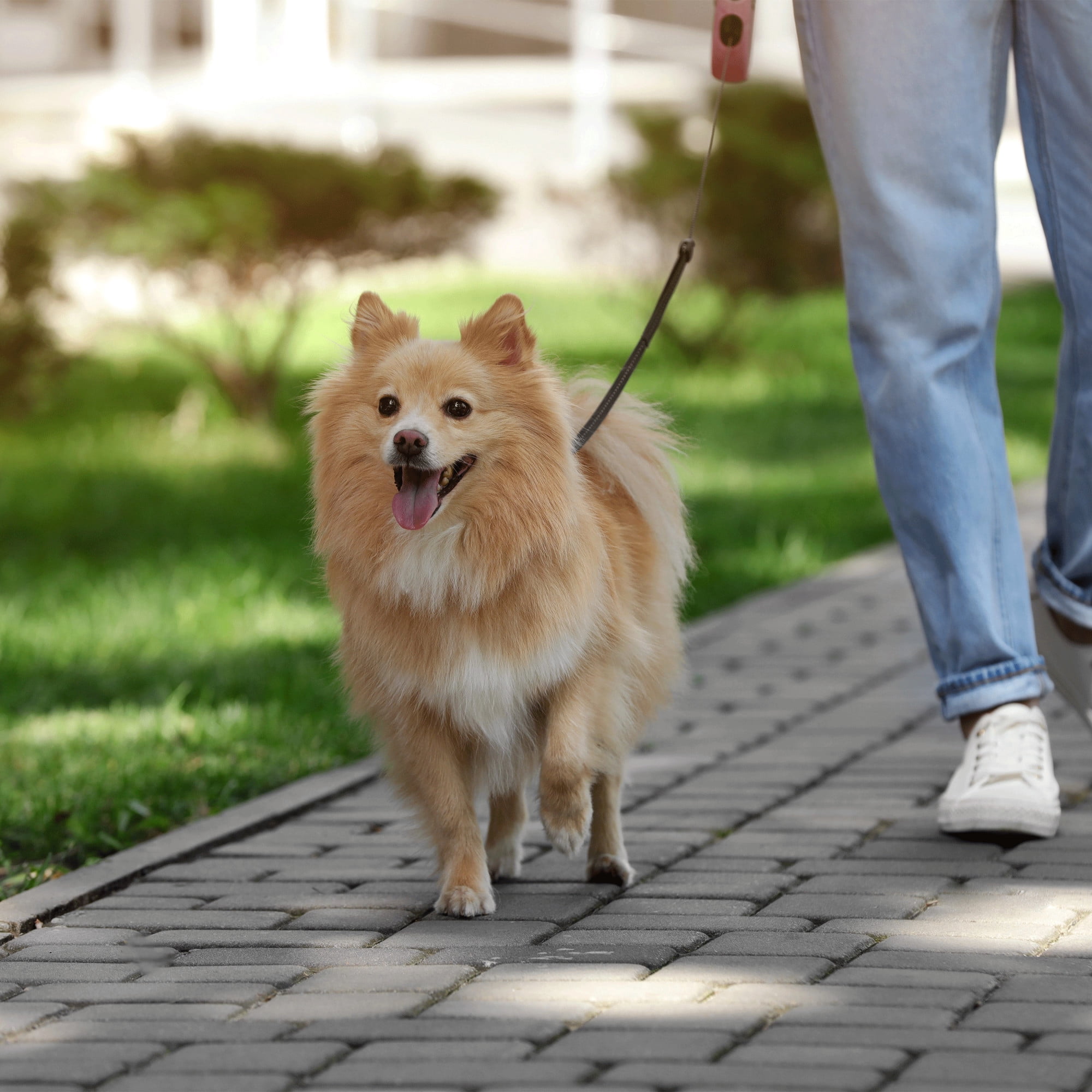 Perfect Solutions Duo Pet Travel Feeder With Collapsible Bowl And Adjustable Crossbody Strap