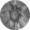 thumbnail image 1 of Ahgly Tapis Rond Lavable en Machine Intérieur Transitionnel Gris Canon, 3 Pieds Rond, 1 of 7