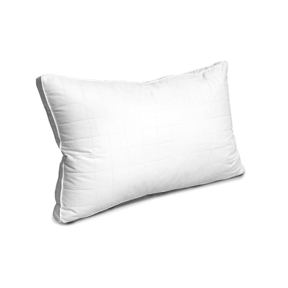 Silk Serenity Pillow Standard