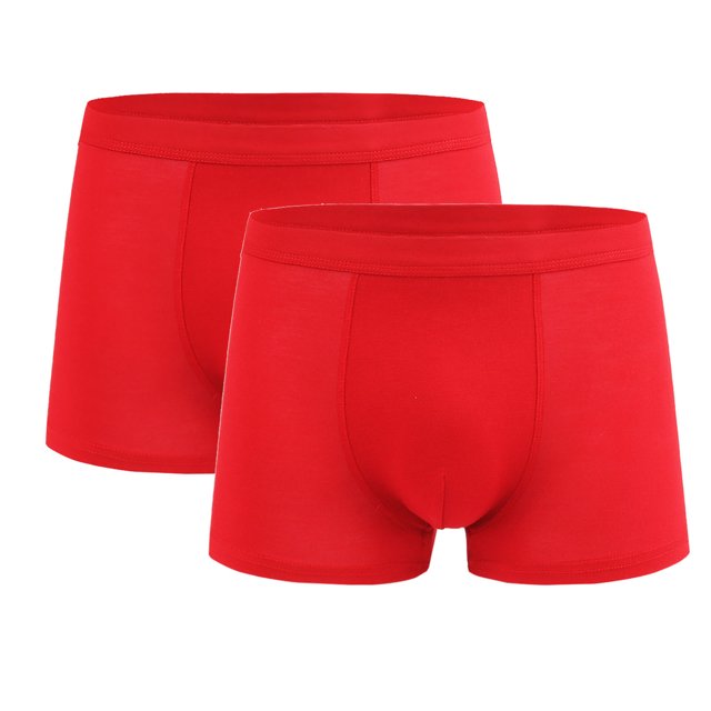 Jamicy Men's Boxer Briefs Gift for Men Men's Underwear Boxer Briefs 2 Pack Basic Solid Color Soft Comfortable Breathable High Elasticity