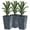 Gris Mixte, variante sur Outsunny Ensemble de 3 Grands Bacs à Plantes, Ensemble de Pots de Fleurs pour Intérieur et Extérieur, Noir