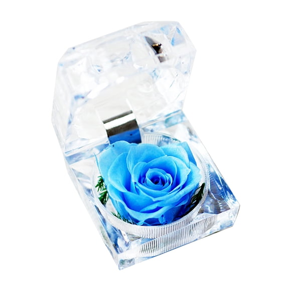 Preserved Real Rose Flower in Clear Box Eternal Rose Scented Forever Rose Flower Present for