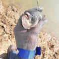 thumbnail image 1 of Vaidha Cut Proof Stab Stainless Steel Gloves Metal Mesh Butcher, 1 of 3