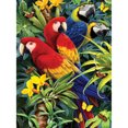 thumbnail image 2 of Royal & Langnickel(R) Small Paint By Number Kit 8.75"X11.75"-Majestic Macaws - PJS-83, 2 of 2