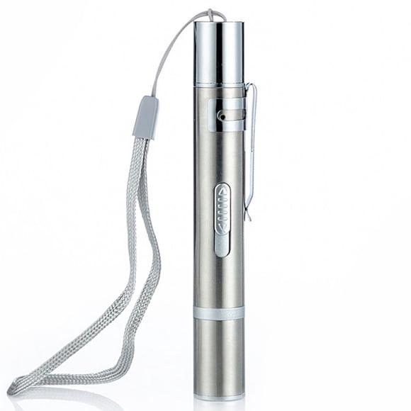 Jouet Pointeur Laser pour Chat 3 en 1 Rechargeable Alimentation USB