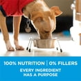 thumbnail image 2 of Purina ONE SmartBlend Small Breed Formula Beef, Dry Dog Food 3.63kg, 2 of 9