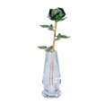 thumbnail image 1 of GROWTH TANK Anniversary Birthday Gift for Wife Girlfriend Green, 1 of 8