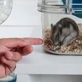 thumbnail image 3 of Rody3 Trio Cage pour Hamster - 3 Étages - Bleu - 41 x 27 x 53 cm, 3 of 5
