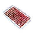 thumbnail image 4 of jifeng Artificial DIY Miniature Flower Cluster Grass Tufts Diorama Layout Scenery Model Pink Red, 4 of 9