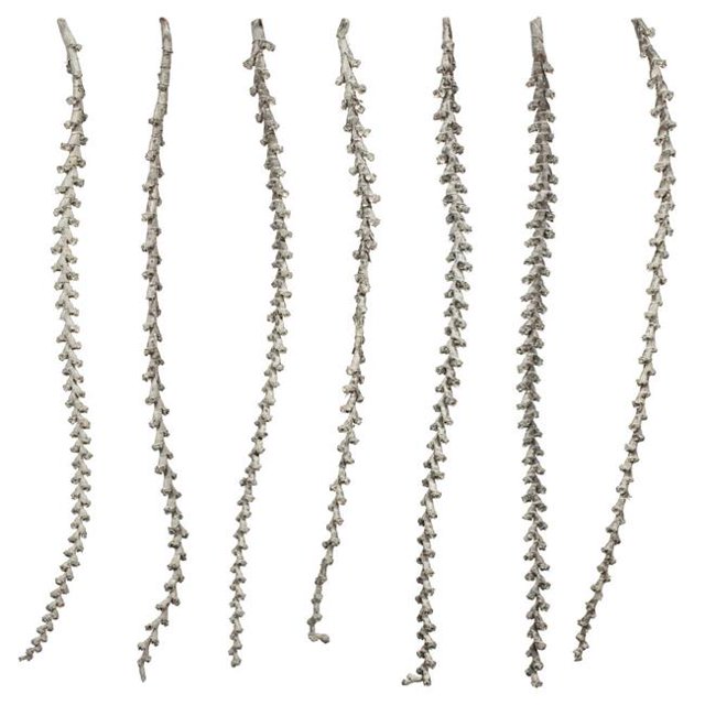 Vickerman H2LXL905 Échelle Branches 40-48 Po Blanc Lavé - Extra Grand