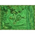 thumbnail image 1 of Ahgly Tapis Rectangulaire Lavable en Machine Intérieur Vert Émeraude Profond, 5 Pieds x 7 Pieds, 1 of 7