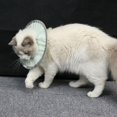 thumbnail image 3 of Cat Cone, Dog Cone Elizabethan Collar For Cats Adjustable Recovery Pet Cone Elizabeth Protective Collar Wound Healing Practical Neck Cover For Cats, Mini Dogs and Rabbits, 3 of 7