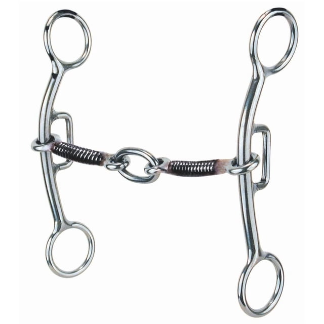 Reinsman Sharon Camarillo Lifesaver Plus Touch Bit