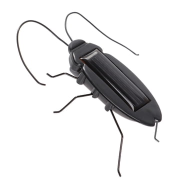 Solar Powered Cockroach Solar Educational Cockroach Solar Cockroach Insect Toy