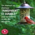 thumbnail image 3 of Perky-Pet 2 lb Small Panorama Wild Bird Feeder, 3 of 9