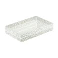 thumbnail image 1 of jifeng Ice Chilled Serving Tray Japanese Sushi Plate for Coffee Vegetable Breakfast L, 1 of 9