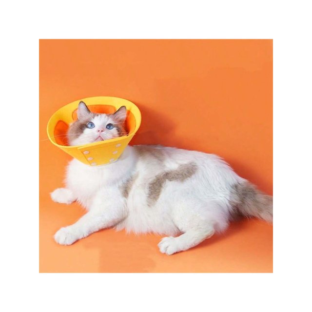 1pc Pet Donut Collar, Orange Collar, Elizabethian Collar, Beauty Sheild, Bite-proof Harness For Dogs And Cats, Suitable For Large, Medium And Small Do