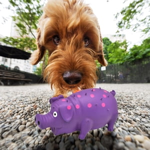 SIfdSeng Latex Dog Squeaky Toys Polka Dot Piglet Pig Dog Toy Teething Toys Freezable Dogs Dog Teething Toys for Puppies Dog Toys for Small Dogs