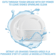 thumbnail image 2 of HDX 4 L Fresh Scented Ultra Concentrated Oxy Power Liquid Dish Soap, 2 of 2