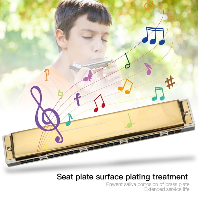 Hilitand Brass Base Plate Harp, Entertainment 24 Hole Professional Harmonica, For Home Performance