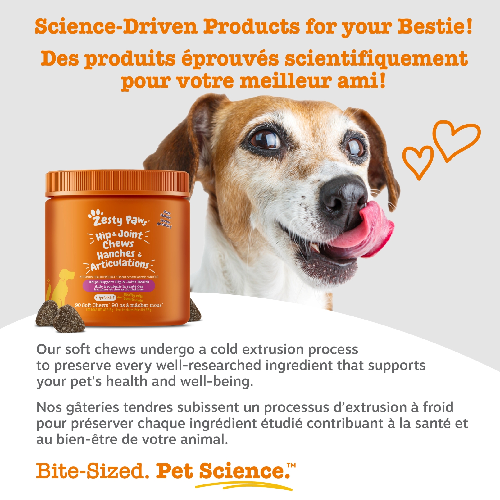 Zesty Paws Apaisant Chews Saveur de Dinde Complément Alimentaire Quotidien pour Chiens, Friandises Molles, Paquet de 90