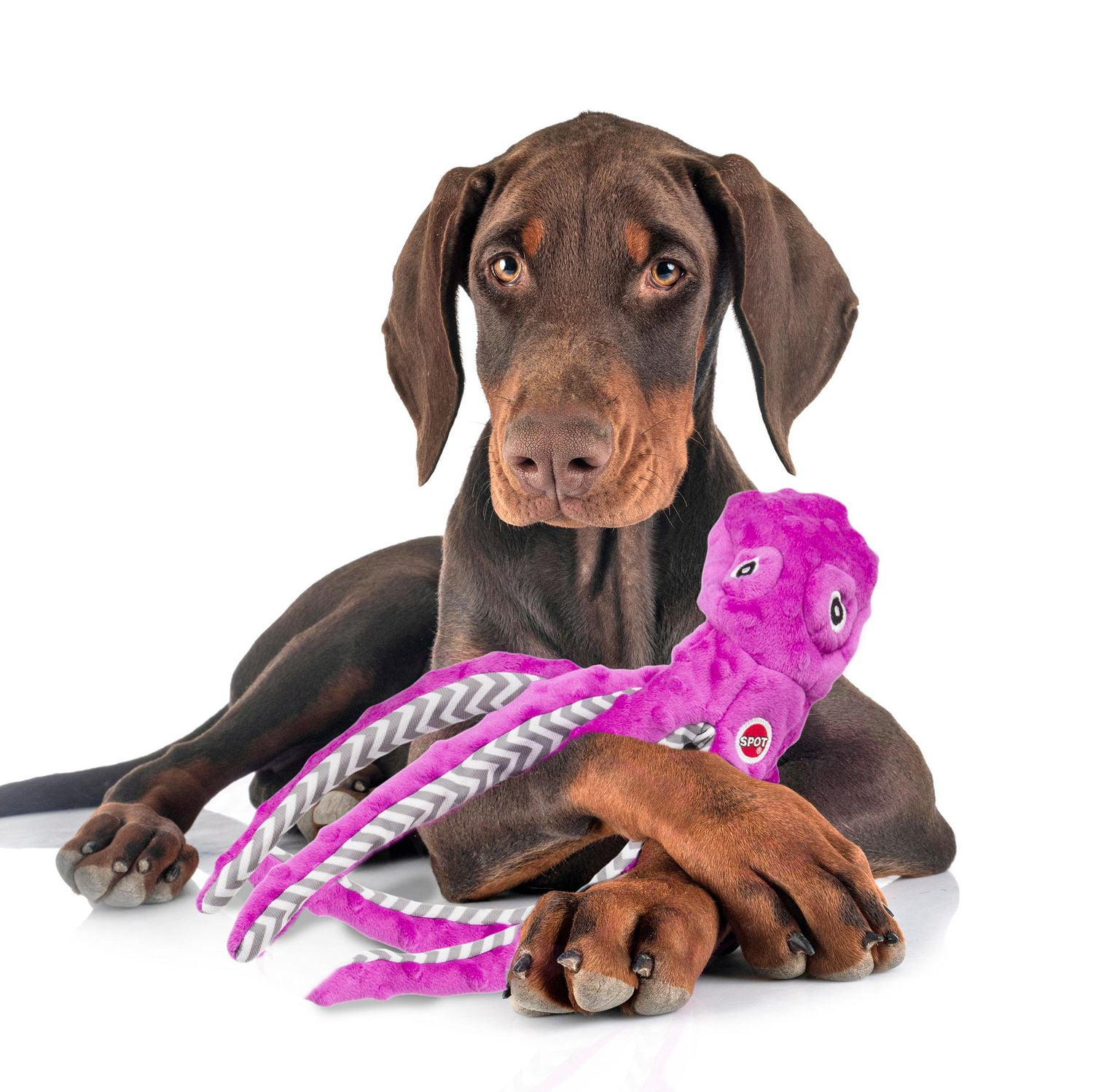 Jouet pour chien SPOT Skinneeez Extreme Purple Octopus Stuffing Free en peluche