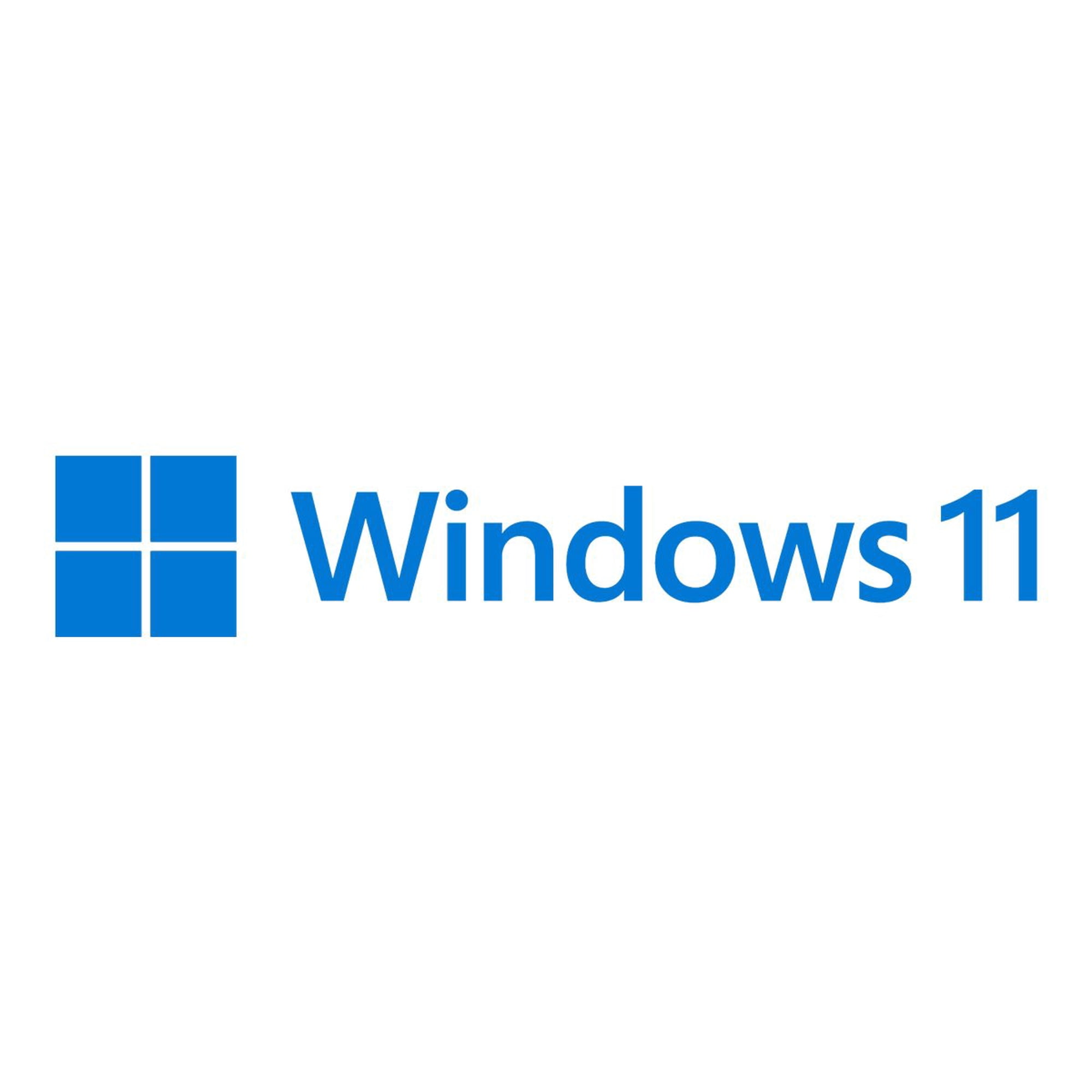 Windows 11 Pro - License - 1 license - OEM - DVD - 64-bit