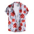 thumbnail image 1 of Cameland Chemise Décontractée à Manches Courtes pour Homme Style Hawaïen de Vacances Blouse T-Shirt, 1 of 9