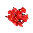 thumbnail image 1 of 20Pcs Automatic Poultry Dispenser Chicken Water Cups Chicken Dispenser Chicken Water Drinker Feeders Waterer Kit For Poultry Bird, 1 of 8