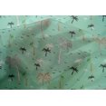 thumbnail image 4 of oneOone Cotton Silk Fabric Bird & Palm Tree Printed Fabric 1 Yard 42 Inch Wide, 4 of 4