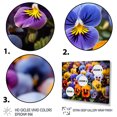 thumbnail image 3 of Designart Pansies framed wall art decor, Pansies framed wall Art, Vibrant Pansies Colorful Pansies framed wall art , Extra large Traditional White Framed Wall Art, White Color Frame, 3 of 5