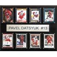 thumbnail image 2 of CandICollectables 1215DATSYUK8C LNH 12 x 15 Po Pavel Datsyuk Detroit Red Wings Plaque de 8 Cartes, 2 of 3