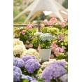 thumbnail image 3 of Mainstays Basic Bell Planter 12 inch White, Classic Design with Attached Tray Durable Weather Resistant, 3 of 4