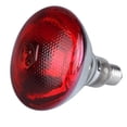 thumbnail image 1 of 250w Infrared Heat Lamp Explosion Thickened Light Bulbs For Piglet Chicken Birds, 1 of 6
